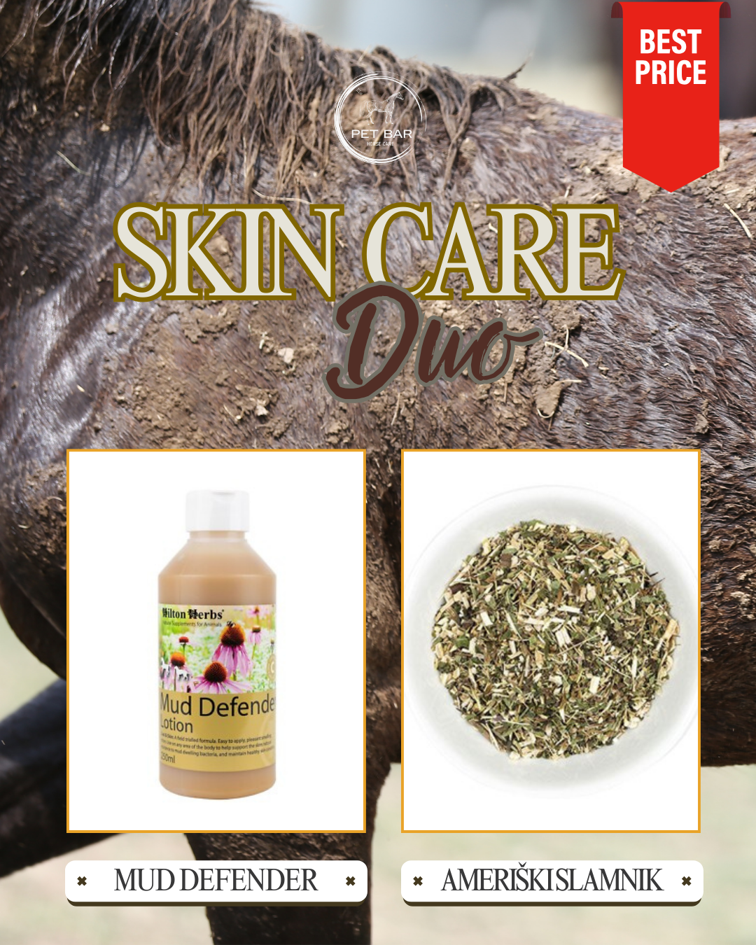 SKINCARE DUO Ameriški slamnik +losion