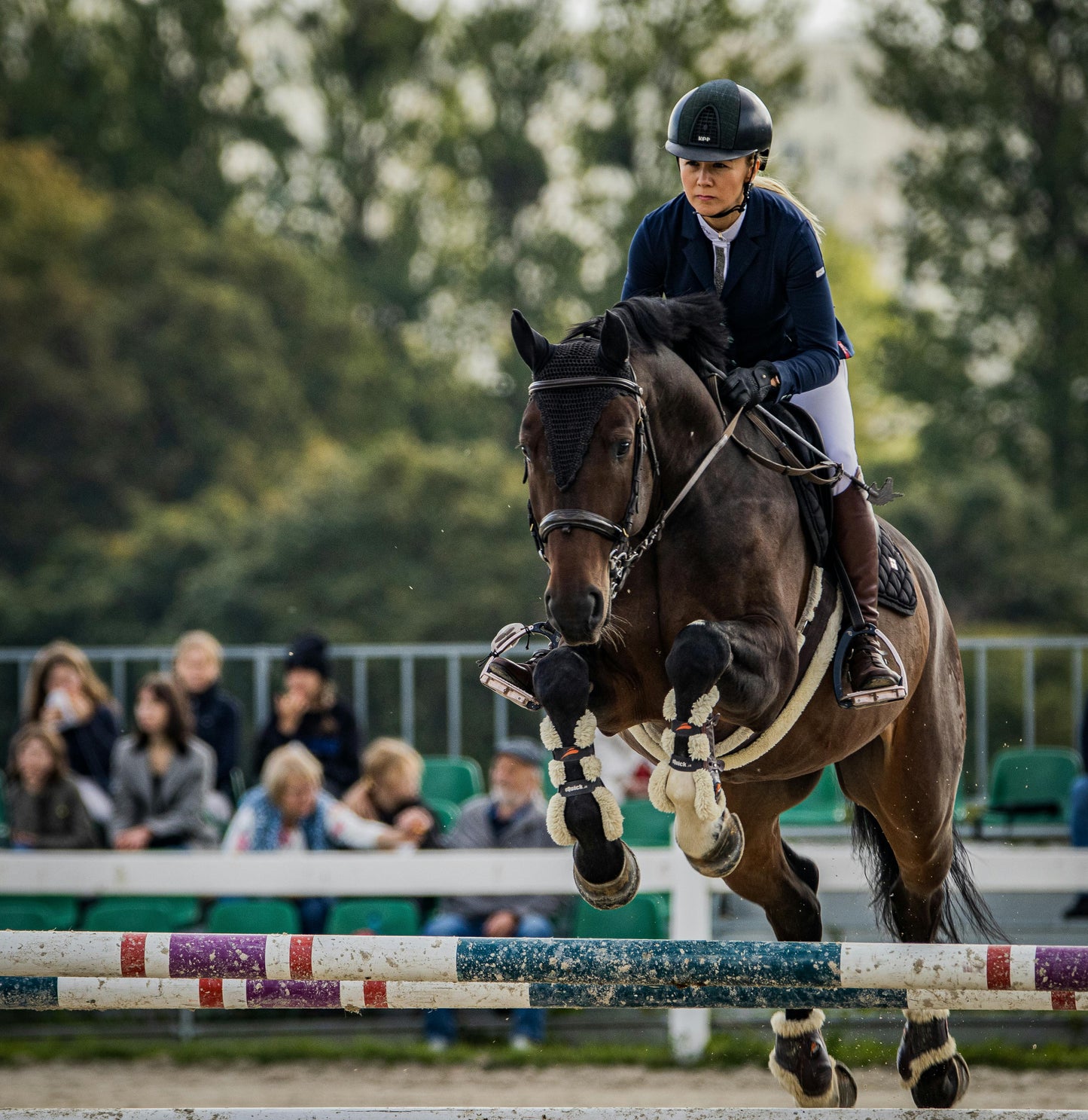 STRATEGY PURINA 25kg