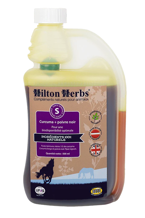 HILTON HERBS Kurkuma in črni poper tinktura 1l