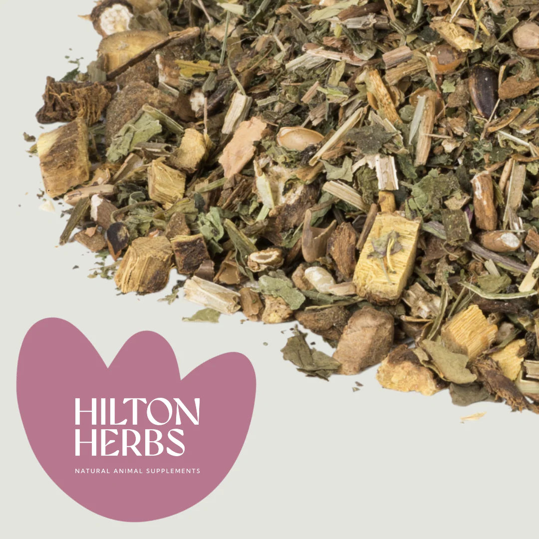HILTON HERBS Detox