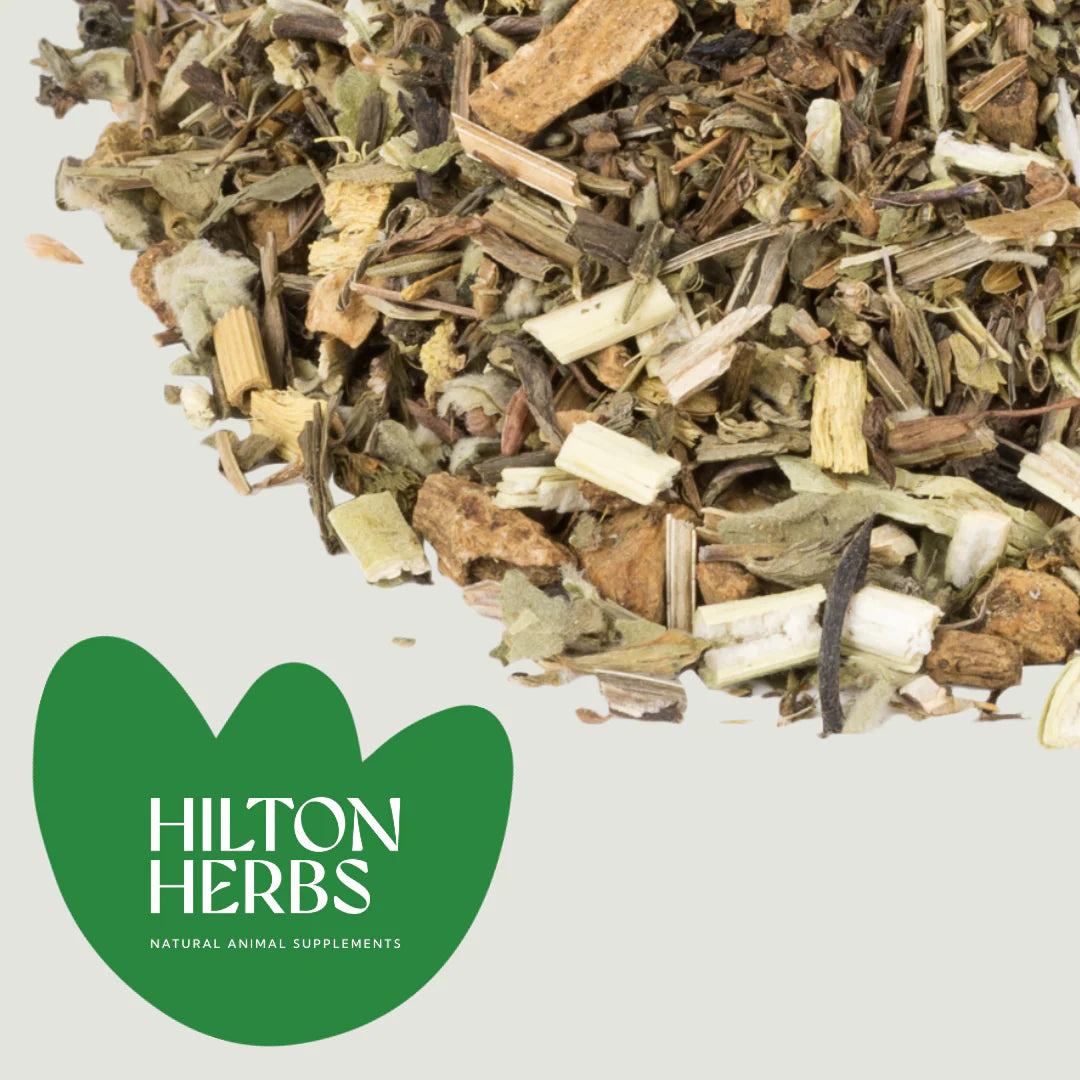 HILTON HERBS Freeway 1kg