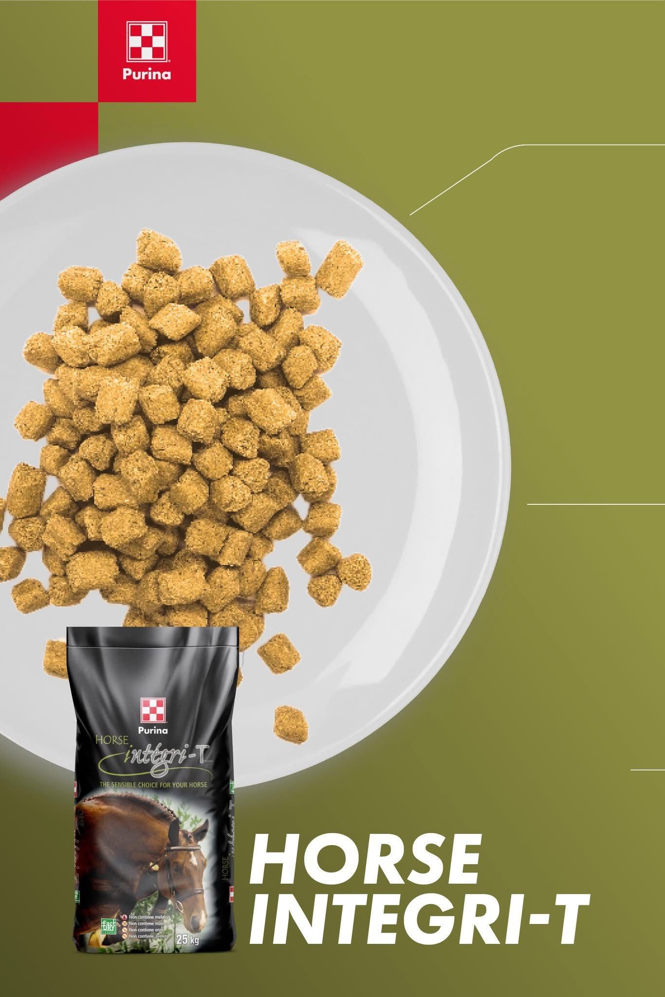 INTEGRY T PURINA 25kg