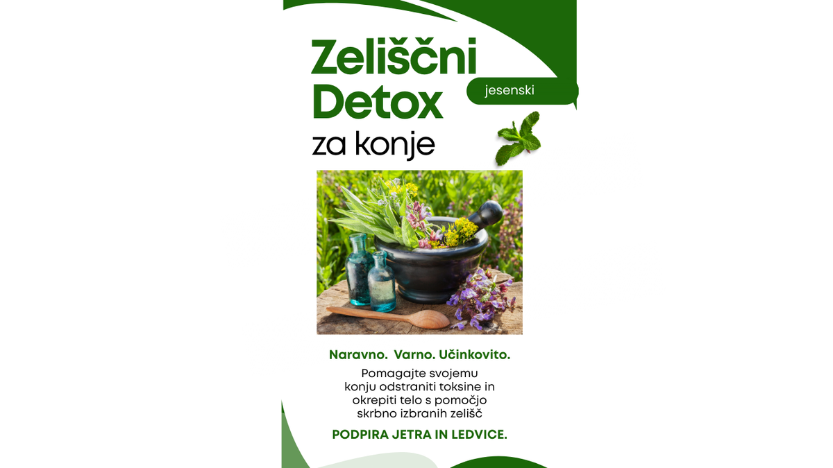 HILTON HERBS Detox