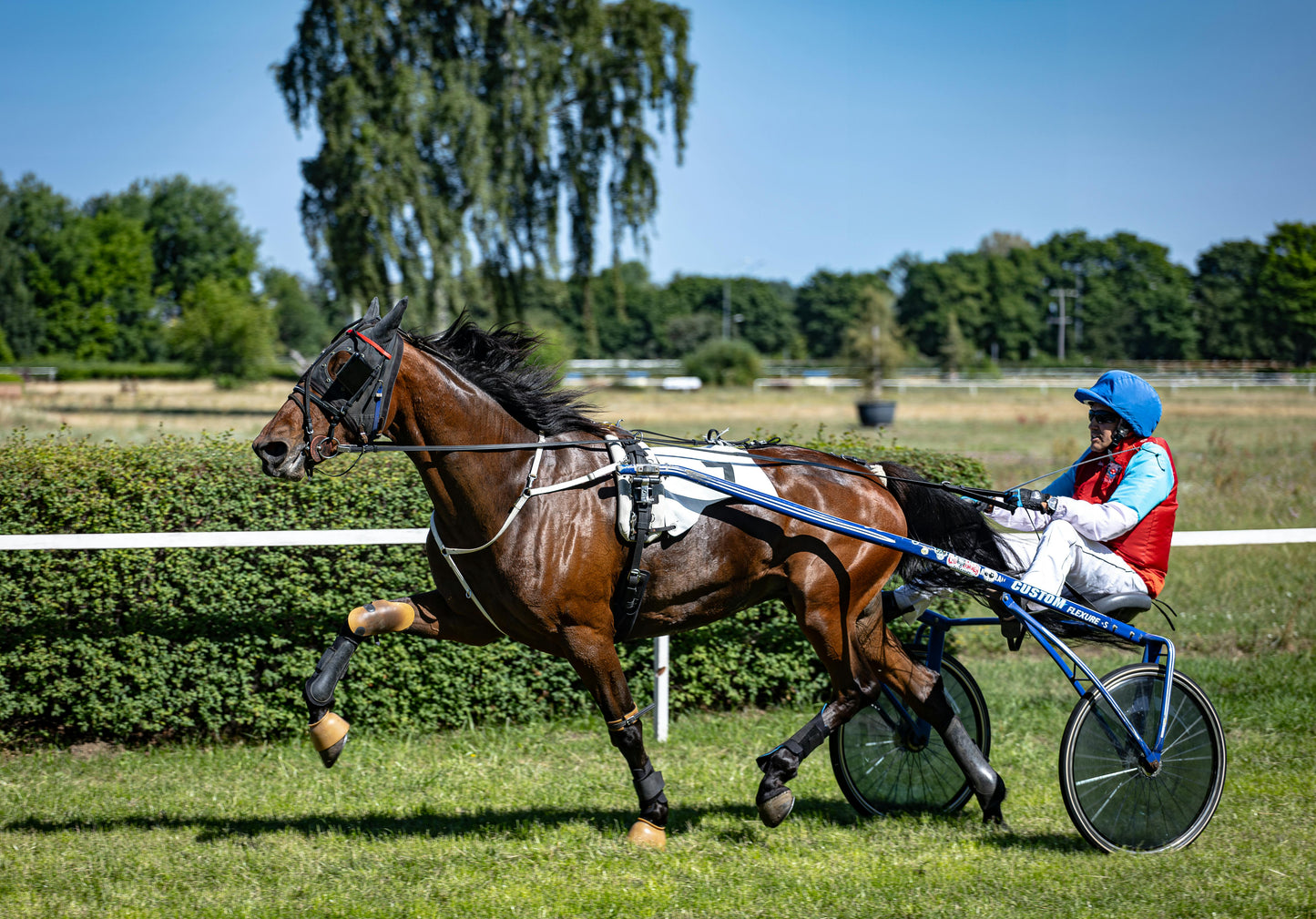 STRATEGY PURINA 25kg