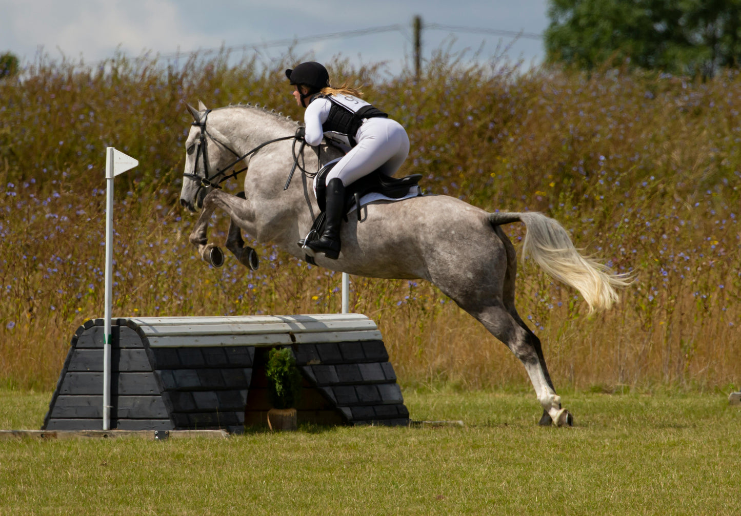 STRATEGY PURINA 25kg