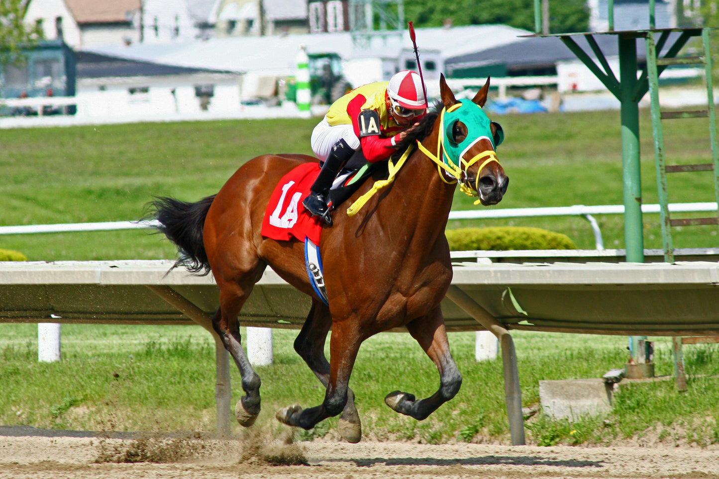 STRATEGY PURINA 25kg