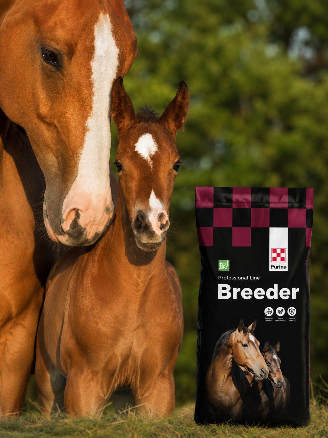 BREEDER F1 PURINA 25kg