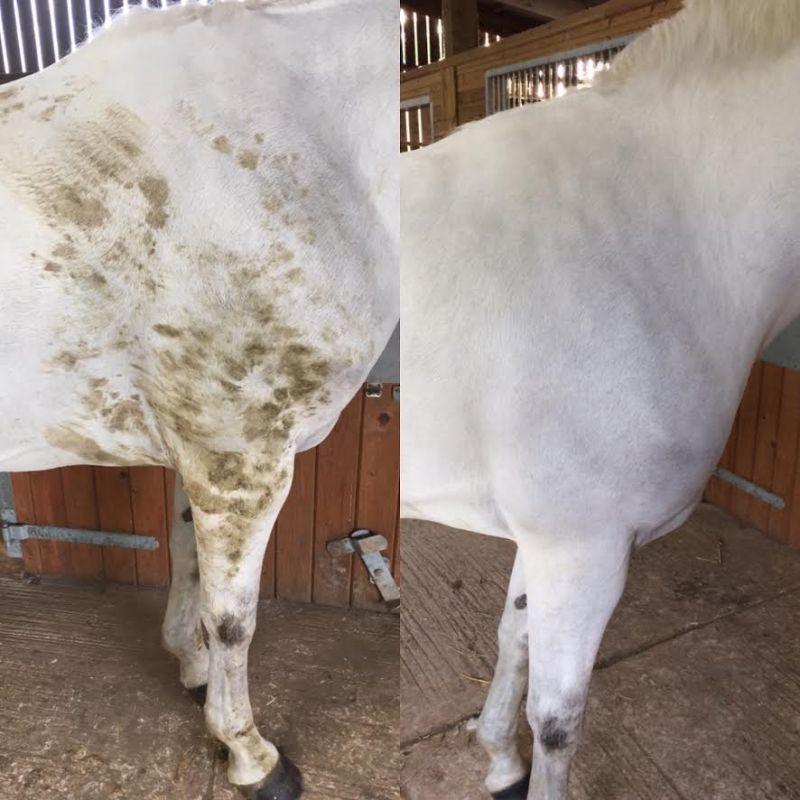 FARNAM VETROLIN GREEN SPOT OUT – suhi šampon za konje