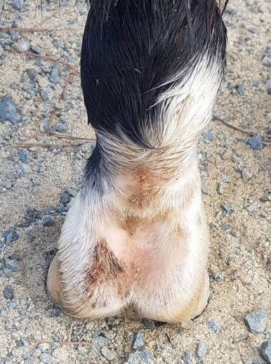 V BOJ PROTI RAPAM  Mud defender losion 250ml