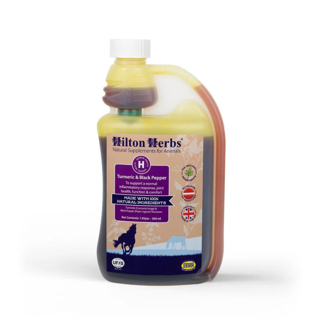 HILTON HERBS Kurkuma in črni poper tinktura 1l