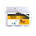 HORSE MASTER Vitamin E, Selen in Lizin 1kg