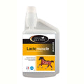 HORSE MASTER Lactomuscle 1l