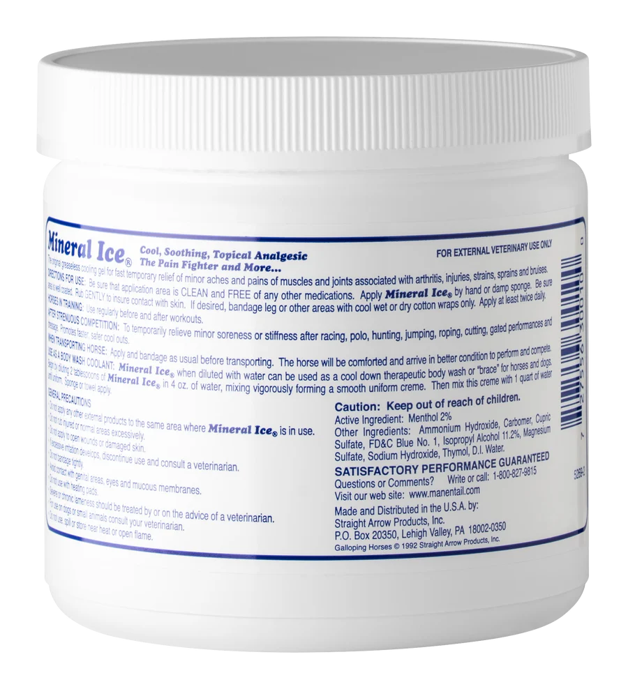MANE N TAIL Mineral ice PAIN RELIEVING GEL