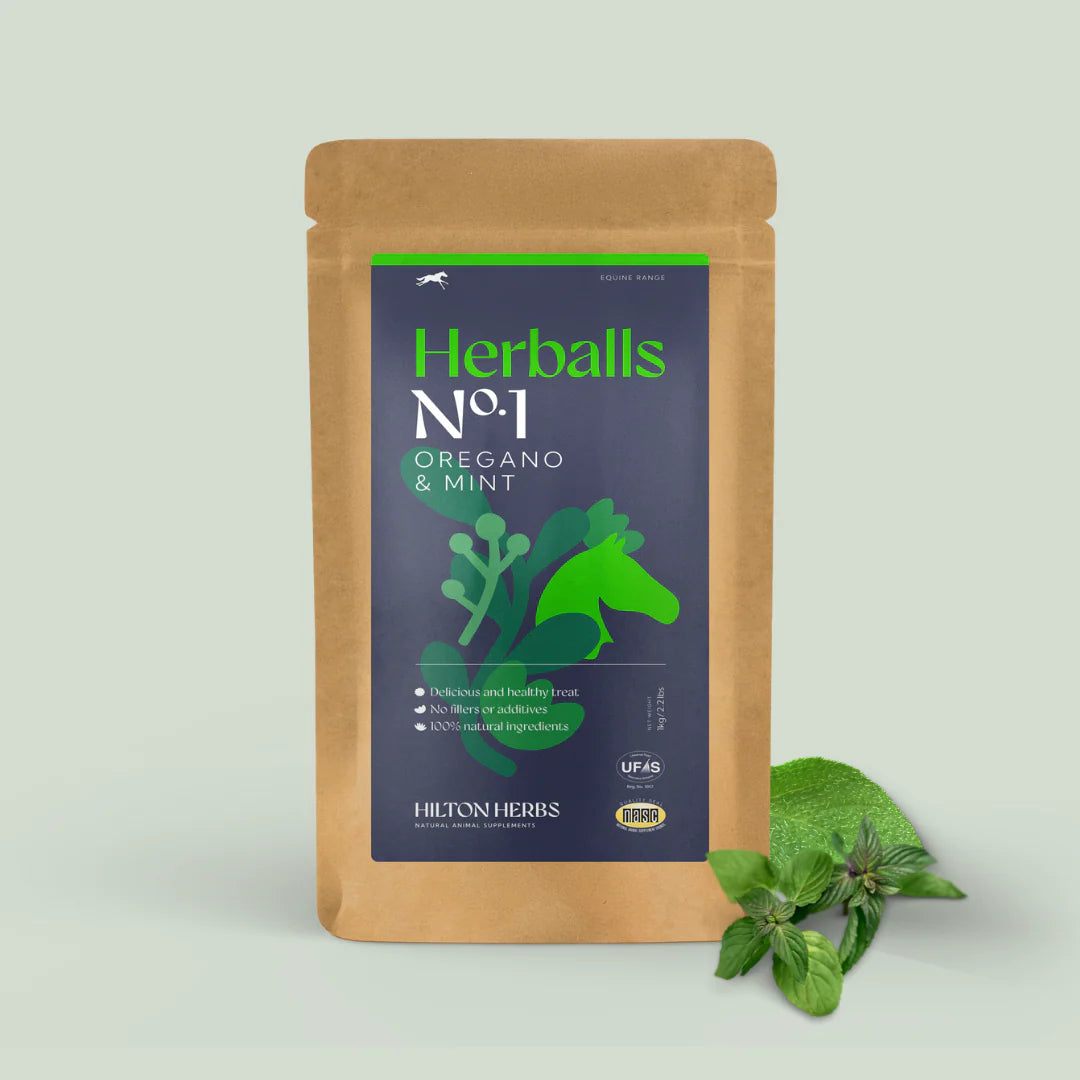 HILTON HERBS Herballs N°. 1 Oregano & Mint
