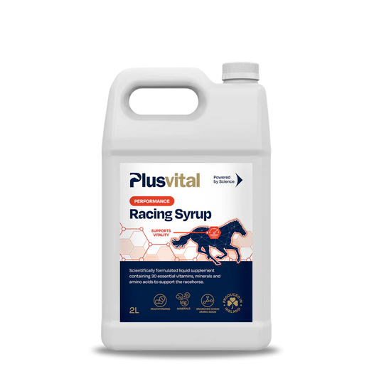 PLUS VITAL Racing Syrup 5l