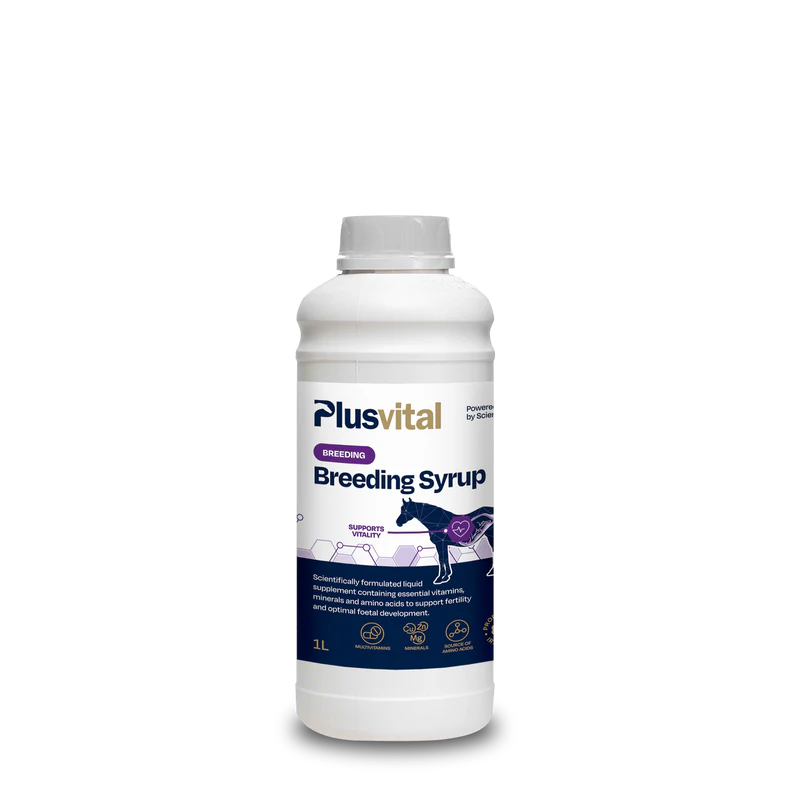 PLUS VITAL Breeding Syrup - Napredna podpora za plemenske kobile, žrebce in žrebeta