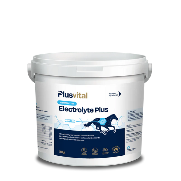 PLUS VITAL Electrolyte Plus 2kg - Za hitro okrevanje po naporu in podpora mišicam