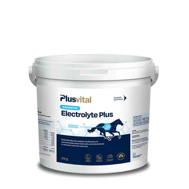 PLUS VITAL Electrolyte Plus 2kg - Za hitro okrevanje po naporu in podpora mišicam