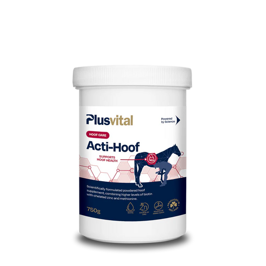 PLUS VITAL Acti-Hoof 750g
