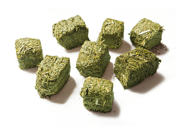 VLAKNINE