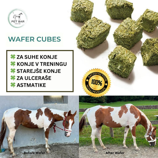FORTE WAFERJI BASIC - NA VOLJO ZA PREVZEM PO 27.8.25