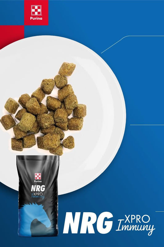 NRG XPRO IMMUNY PURINA BALANCER 20kg