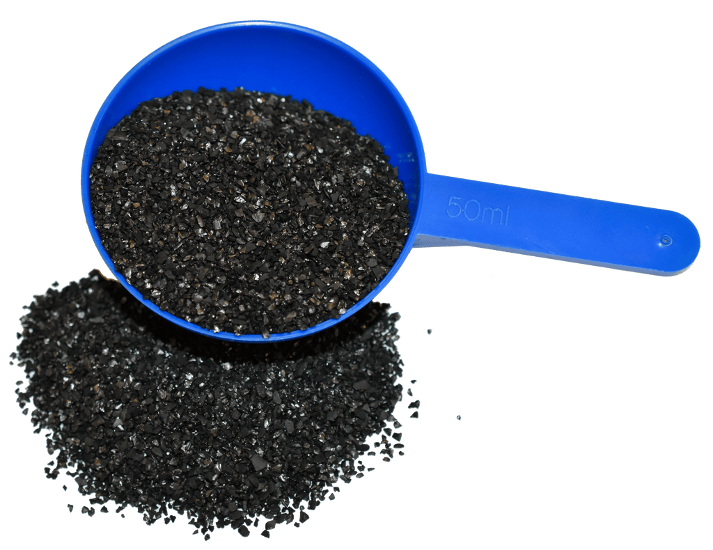HILTON HERBS Aktivno oglje 500g