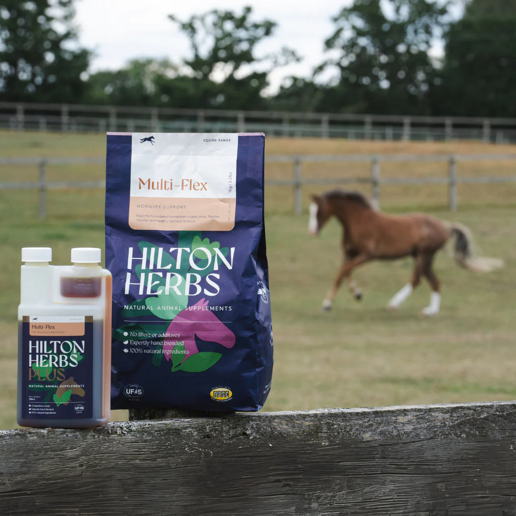 HILTON HERBS Multi Flex- za sklepe 1kg